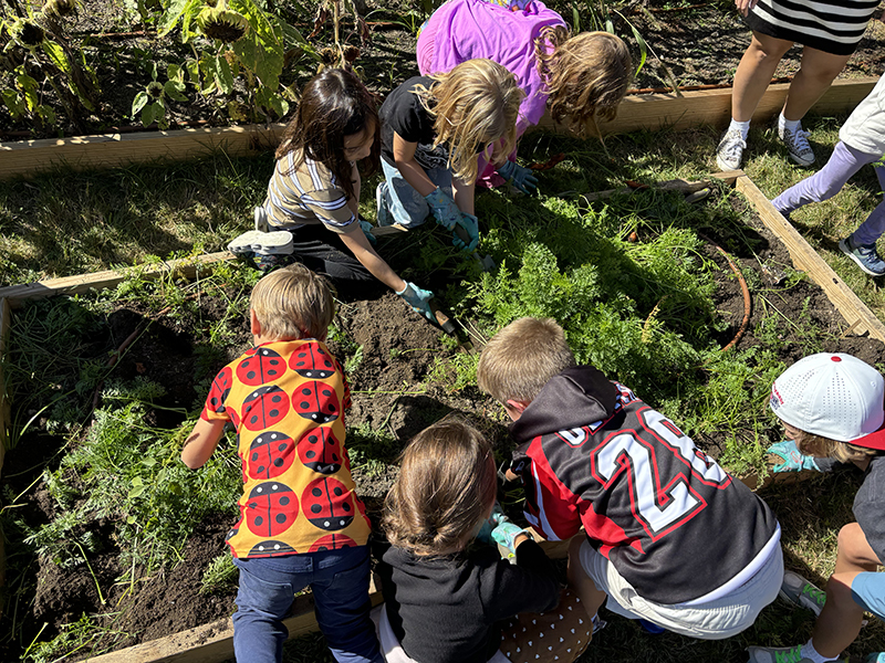 Orleans Elementary School Garden