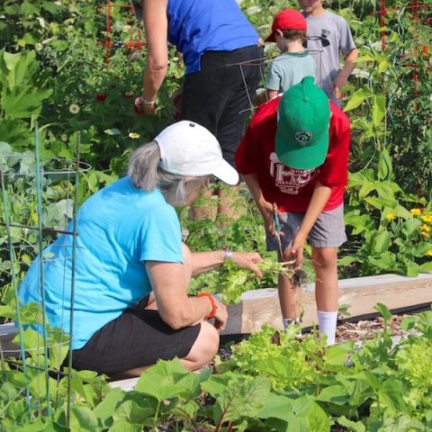 Alisons childrens garden A Master Gardener teaches a child at the Children's Garden
