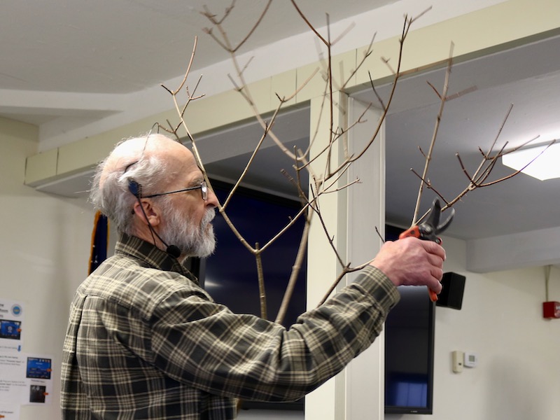 Pruning demonstration.