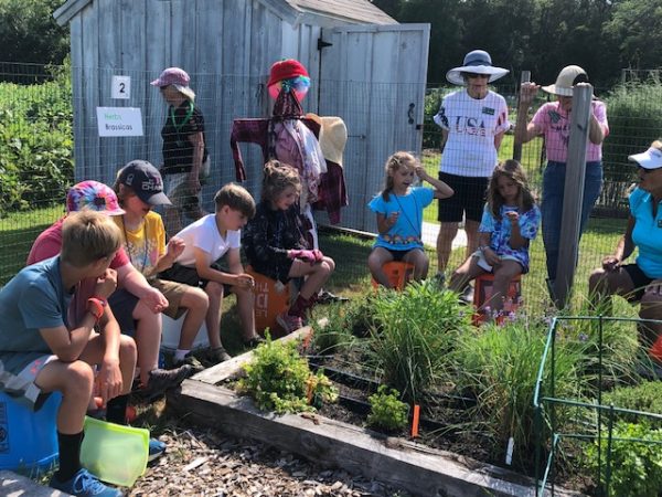 Cape Cod Master Gardeners assist in the Children's Garden