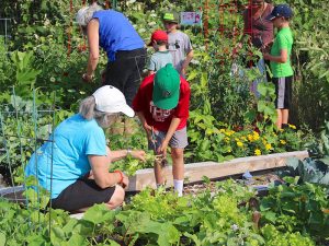 Children's Garden Program